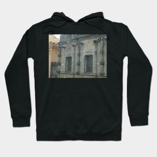 Royal Palace Statues, Stirling Castle Hoodie